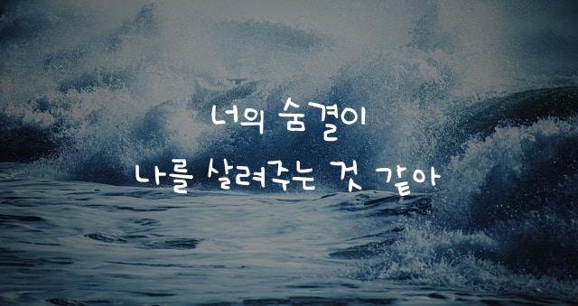 어비 단순그녀체