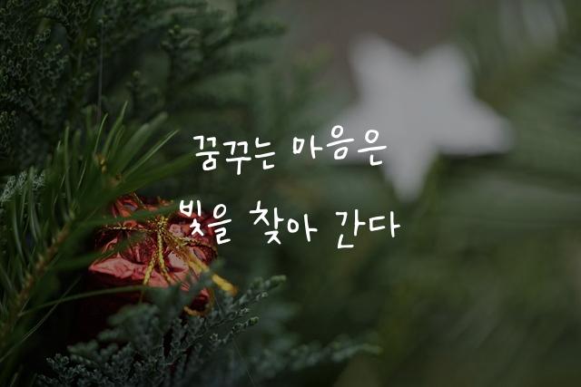 어비 순수결정체