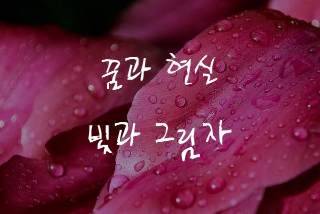 어비 유종체
