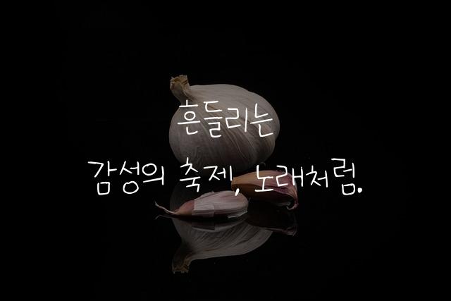 어비 여니체