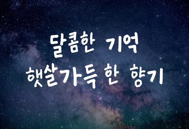 어비 융디체
