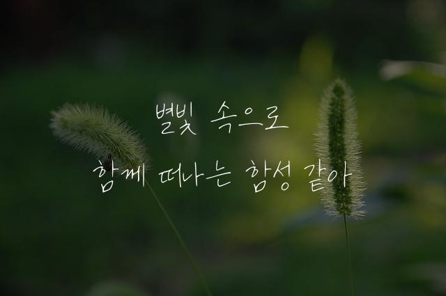 엉겅퀴체