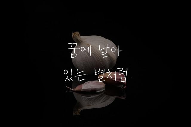 안될과학 궤도체