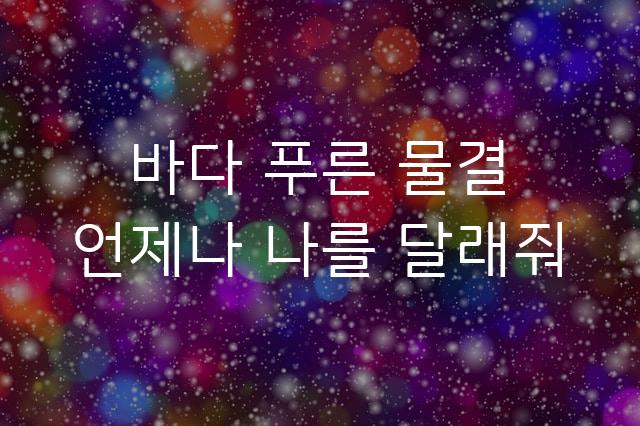 완도청정바다체