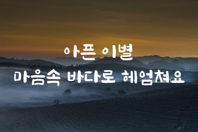 완도희망체