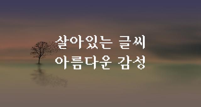 윈도한글