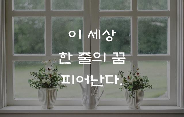 월인석보체