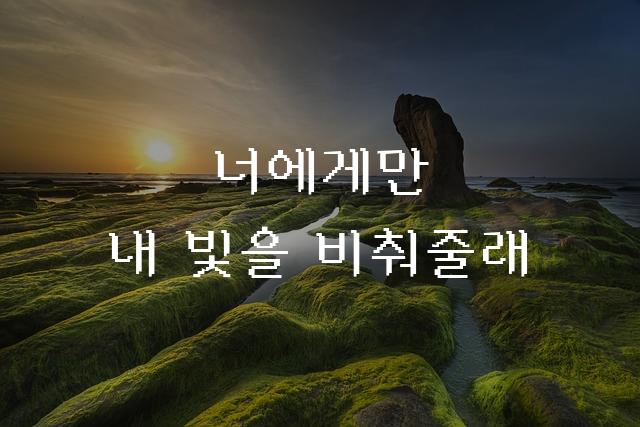 Y 너만을 비춤체