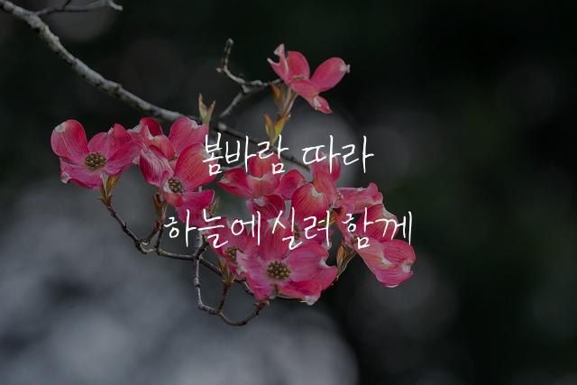 안될과학 약체
