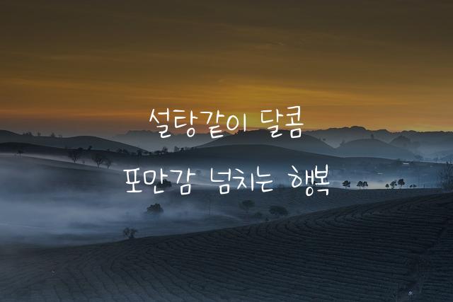 맛있는체