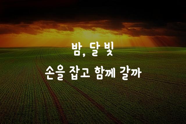 야놀자야체
