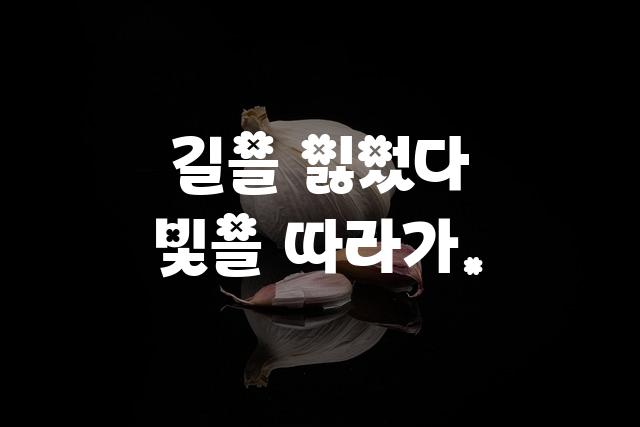 Y클로버체