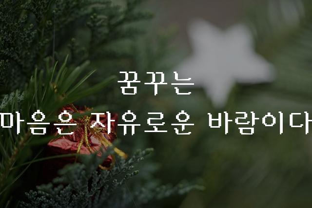 Y콤퓨타체