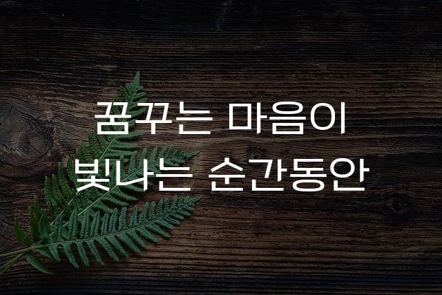 Y이드스트릿체
