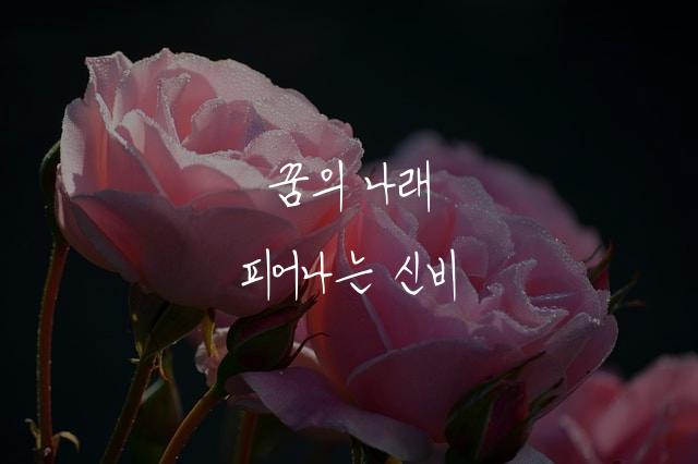 예당체
