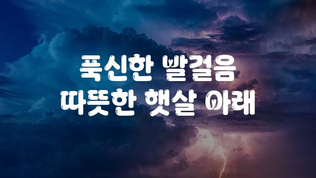 Y최애체