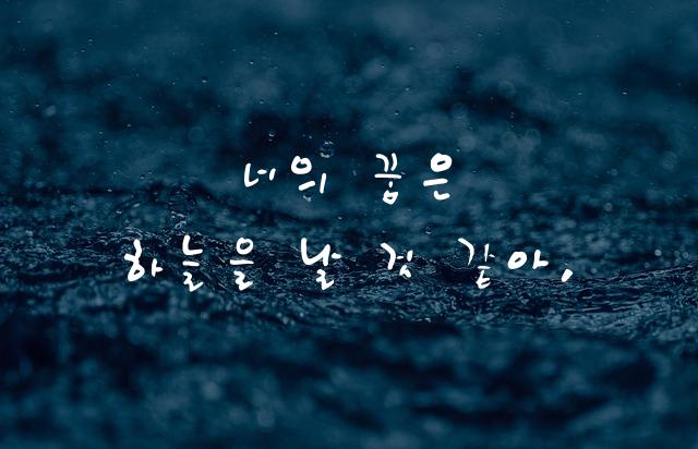 Yoon 흥수