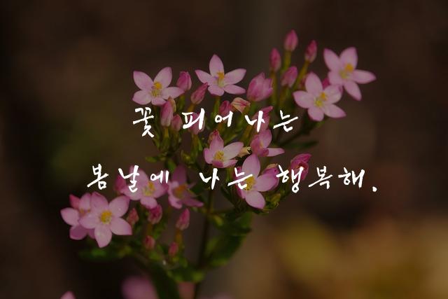 Yoon 민준