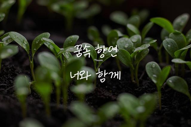 온글잎 윤우체