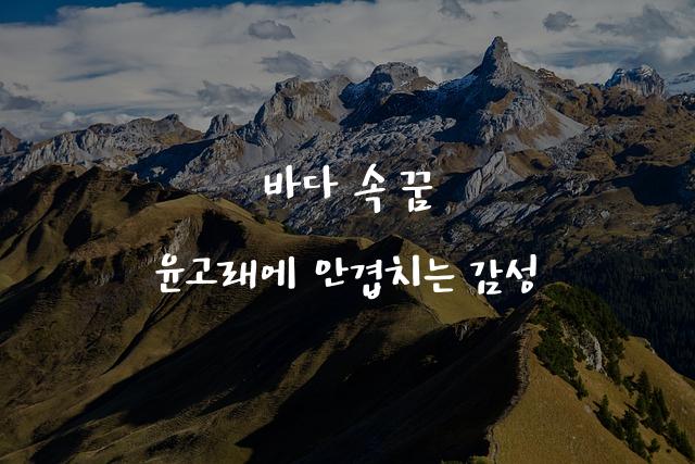 윤고래체
